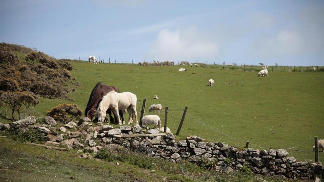 Glebe Farm, Rhossili Exterior foto